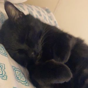 Meet your Posher, Samantha